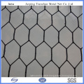 PVC Coated Galvanized Chicken Wire Mesh (TS-J002)